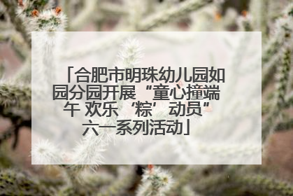 合肥市明珠幼儿园如园分园开展“童心撞端午 欢乐‘粽’动员”六一系列活动