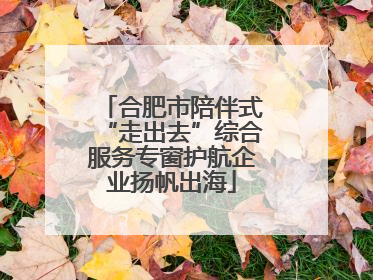 合肥市陪伴式“走出去”综合服务专窗护航企业扬帆出海