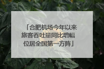 合肥机场今年以来旅客吞吐量同比增幅位居全国第一方阵