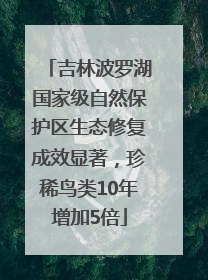 吉林波罗湖国家级自然保护区生态修复成效显著，珍稀鸟类10年增加5倍