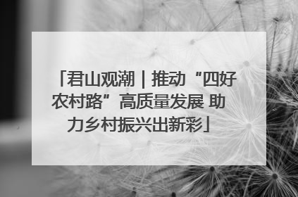 君山观潮｜推动“四好农村路”高质量发展 助力乡村振兴出新彩