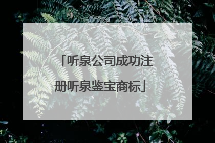 听泉公司成功注册听泉鉴宝商标