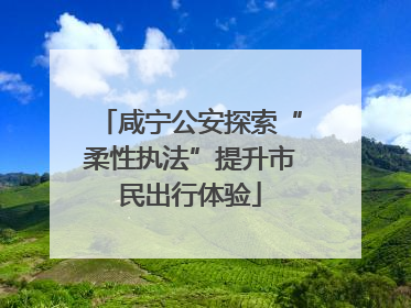 咸宁公安探索“柔性执法”提升市民出行体验