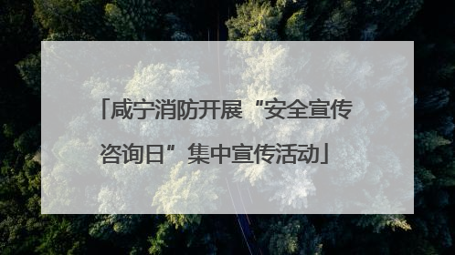咸宁消防开展“安全宣传咨询日”集中宣传活动