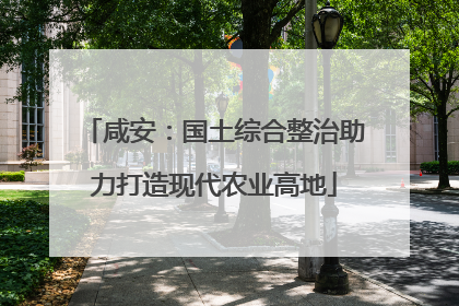 咸安：国土综合整治助力打造现代农业高地