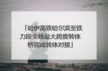 哈伊高铁哈尔滨至铁力段全线最大跨度转体桥完成转体对接