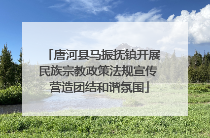 唐河县马振抚镇开展民族宗教政策法规宣传 营造团结和谐氛围