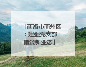 商洛市商州区：建强党支部 赋能新业态