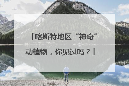 喀斯特地区“神奇”动植物，你见过吗？