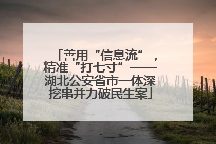 善用“信息流”，精准“打七寸”——湖北公安省市一体深挖串并力破民生案