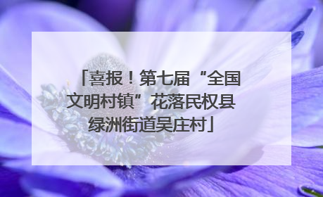 喜报！第七届“全国文明村镇”花落民权县绿洲街道吴庄村