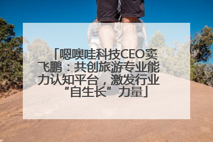 嗯噢哇科技CEO窦飞鹏：共创旅游专业能力认知平台，激发行业“自生长”力量