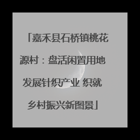 嘉禾县石桥镇桃花源村：盘活闲置用地发展针织产业 织就乡村振兴新图景