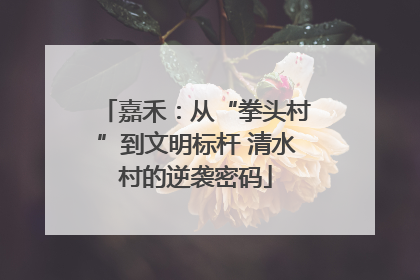 嘉禾：从“拳头村”到文明标杆 清水村的逆袭密码