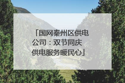国网秦州区供电公司：双节同庆 供电服务暖民心