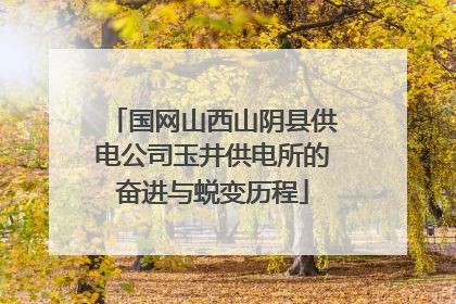 国网山西山阴县供电公司玉井供电所的奋进与蜕变历程