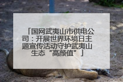 国网武夷山市供电公司：开展世界环境日主题宣传活动守护武夷山生态“高颜值”