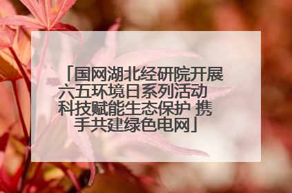 国网湖北经研院开展六五环境日系列活动 科技赋能生态保护 携手共建绿色电网