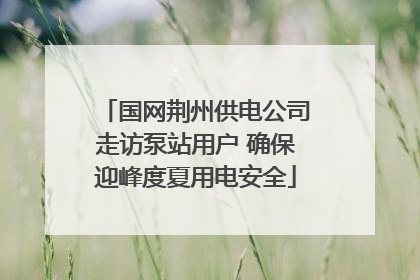 国网荆州供电公司走访泵站用户 确保迎峰度夏用电安全