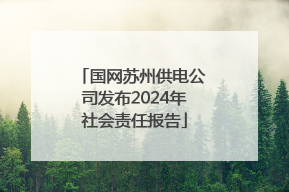 国网苏州供电公司发布2024年社会责任报告