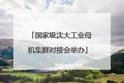 国家级沈大工业母机集群对接会举办
