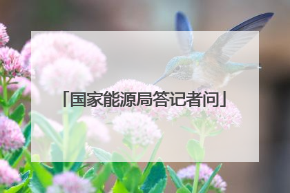 国家能源局答记者问