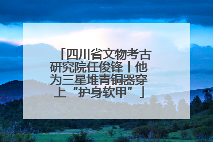 四川省文物考古研究院任俊锋丨他为三星堆青铜器穿上“护身软甲”