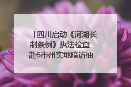 四川启动《河湖长制条例》执法检查 赴6市州实地暗访抽查｜四川人大之声