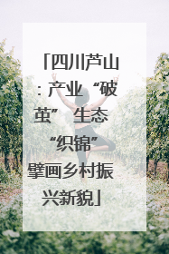 四川芦山：产业“破茧” 生态“织锦” 擘画乡村振兴新貌