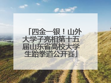 四金一银！山外大学子亮相第十五届山东省高校大学生跆拳道公开赛