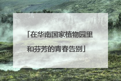 在华南国家植物园里和芬芳的青春告别