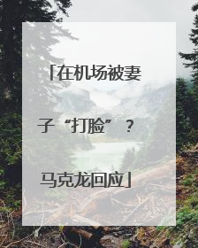 在机场被妻子“打脸”？马克龙回应