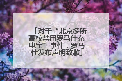 对于“北京多所高校禁用罗马仕充电宝”事件，罗马仕发布声明致歉