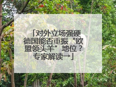 对外立场强硬 德国能否重振“欧盟领头羊”地位？专家解读→