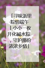 寻味浙里·粽情端午丨小小一枚开化碱水粽，守护那份浓浓乡情