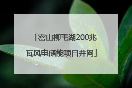 密山柳毛湖200兆瓦风电储能项目并网