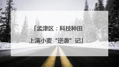 孟津区：科技种田 上演小麦“逆袭”记