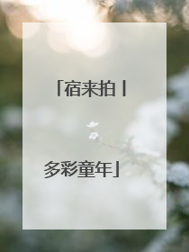 宿来拍丨多彩童年