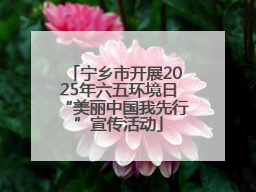 宁乡市开展2025年六五环境日“美丽中国我先行”宣传活动