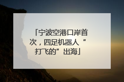 宁波空港口岸首次，四足机器人“打飞的”出海
