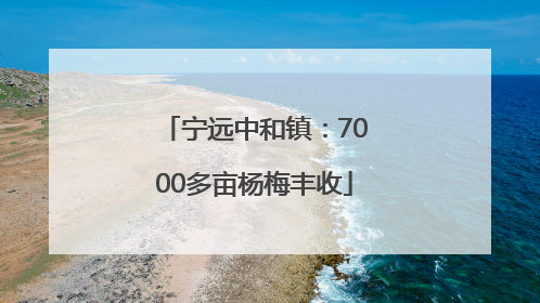 宁远中和镇：7000多亩杨梅丰收