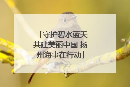 守护碧水蓝天 共建美丽中国 扬州海事在行动