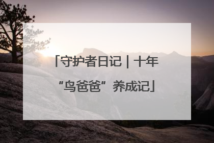 守护者日记｜十年“鸟爸爸”养成记
