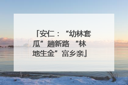 安仁：“幼林套瓜”趟新路 “林地生金”富乡亲