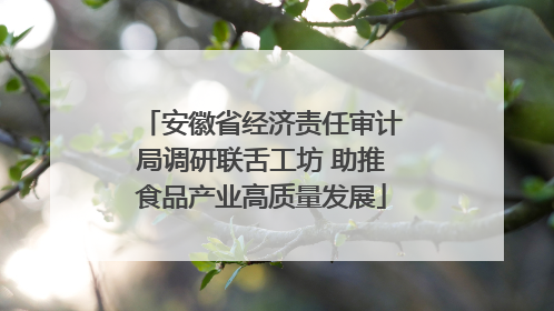 安徽省经济责任审计局调研联舌工坊 助推食品产业高质量发展