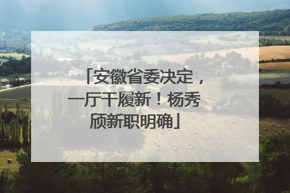 安徽省委决定，一厅干履新！杨秀颀新职明确