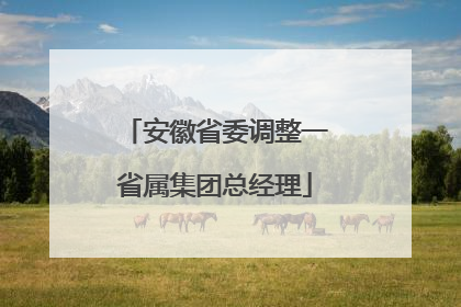 安徽省委调整一省属集团总经理