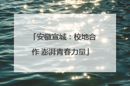 安徽宣城：校地合作 澎湃青春力量