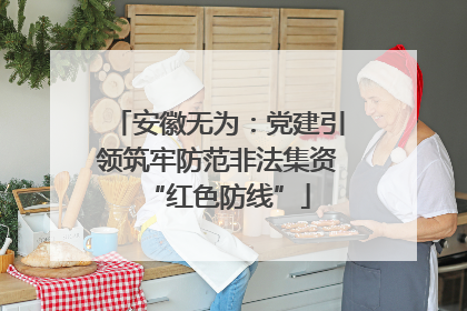 安徽无为：党建引领筑牢防范非法集资“红色防线”