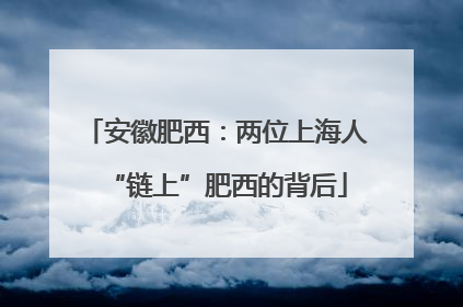 安徽肥西：两位上海人“链上”肥西的背后